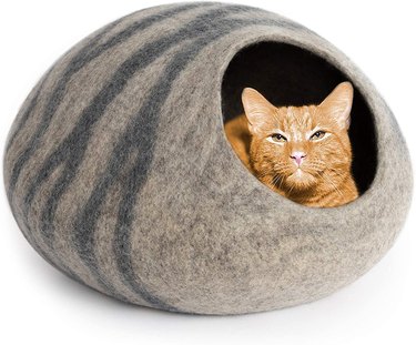 Cat inside cave bed