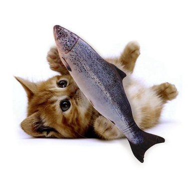 Cat playing with fish toy