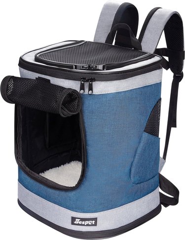 Blue cat backpack