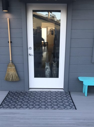 Two cats standing upright at a front door that has a full-length window.