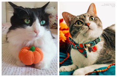 Fall Cat Toys & Accessories on Etsy