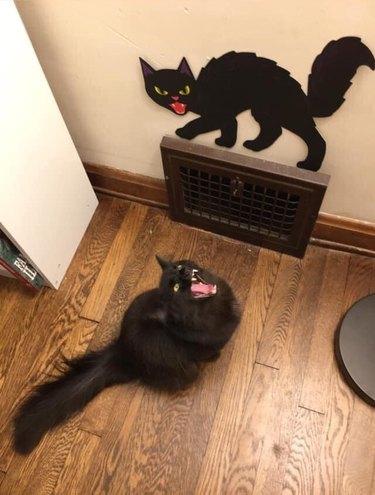 black cat yawning in front of halloween decoration.