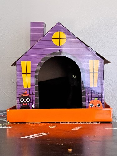 black cat inside halloween-themed carboard cat house.