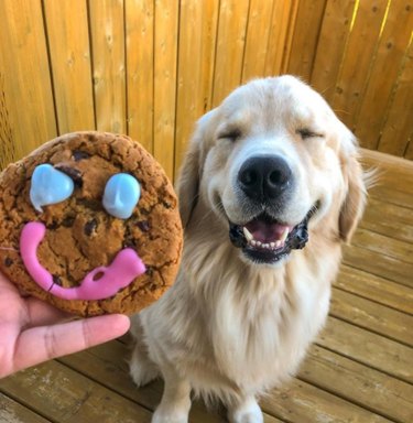 A golden retriever smiles as someone holds up a smiley face cookie next to them.