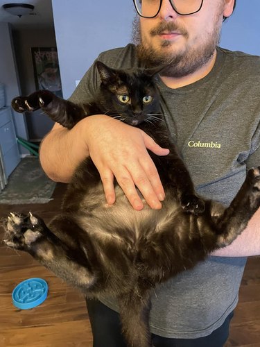 man holding a black cat.