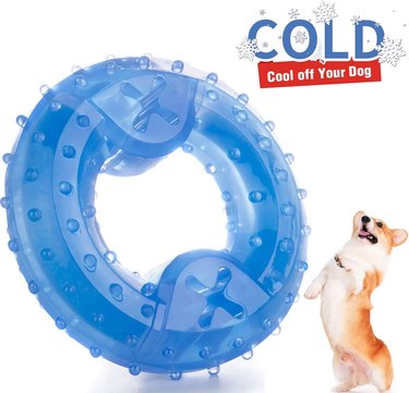 Blue freezable ring toy for puppies with X spots to insert a chew stick and nubs for massaging gums.
