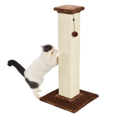 Amazon Basics Large Premium Tall Cat Scratching Post