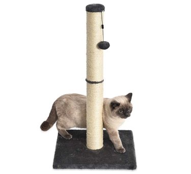 Amazon Basics Medium Cat Scratching Post - 16 x 16 x 32 Inches