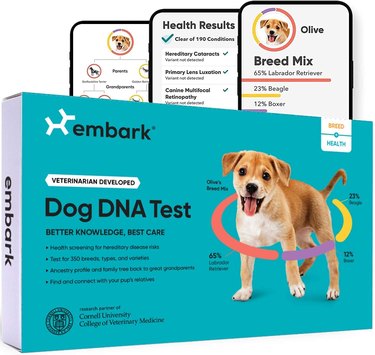 Embark dog DNA test kit box and phone images of what the results will look like.