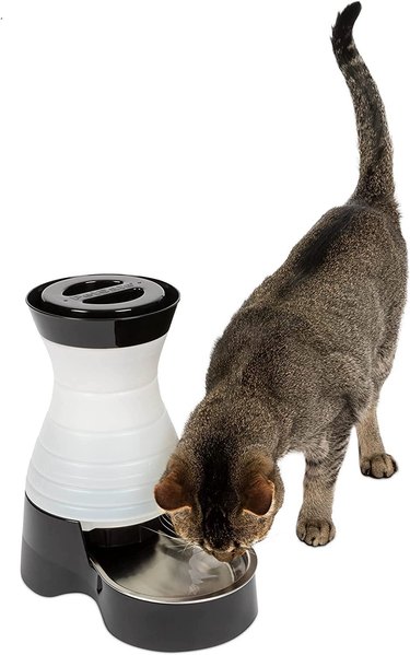 PetSafe Healthy Pet Gravity Food or Water Station, Automatic Dog and Cat Feeder