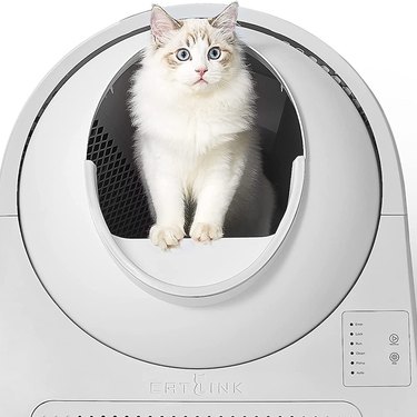CATLINK Self-Cleaning Cat Litter Box that looks spacey.