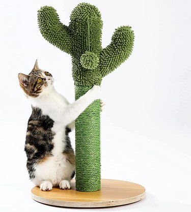 Made4Pets Cactus Cat Scratching Posts in green.