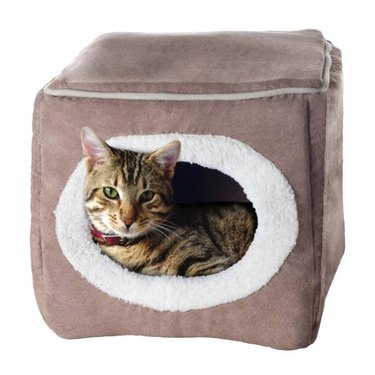 A cat sticking their head out of a Cat House - Indoor Bed with Removable Foam Cushion