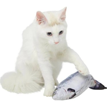 A white cat playing with a Frisco Interactive Electric Flopping Fish Cat Toy with Catnip