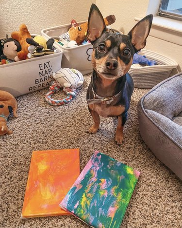 a dog standing next to two paintings.