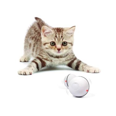 A grey kitten playing with a YOFUN Smart Interactive Cat Toy