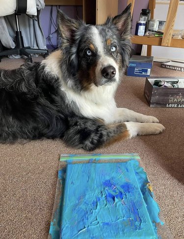 dog showing off their painting.