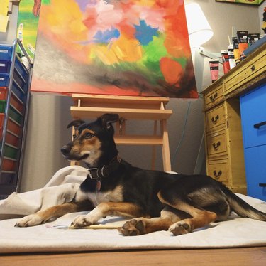 dog lying by their painting on an easel.