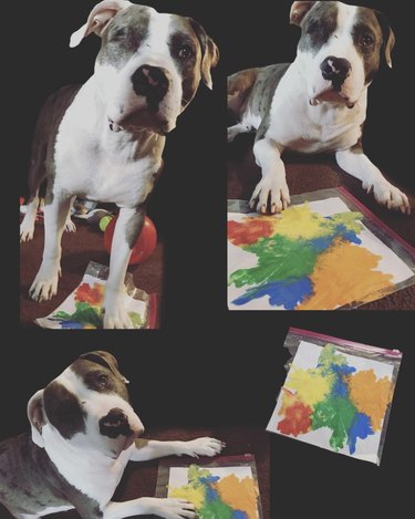 a pitbull dog with their painting.