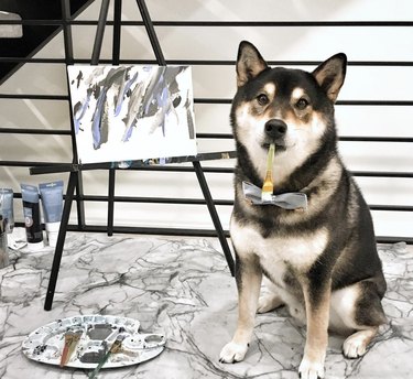 dog sitting next to their painting on an easel.