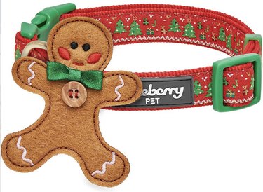 Red and green Christmas dog collar with a gingerbread man removeable accessory.