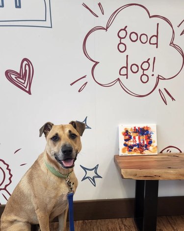 dog standing next to his little painting.