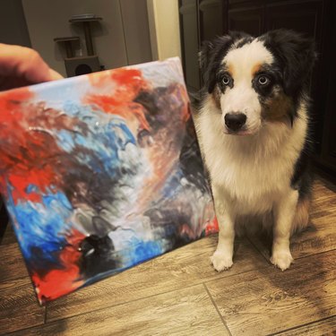 a mini aussie dog with their painting.