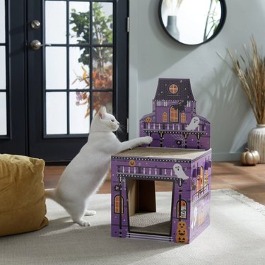 Cat playing with two-story haunted mansion toy with two scratching surfaces and a place to hide.