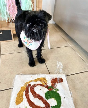 a dog with their painting in progress.