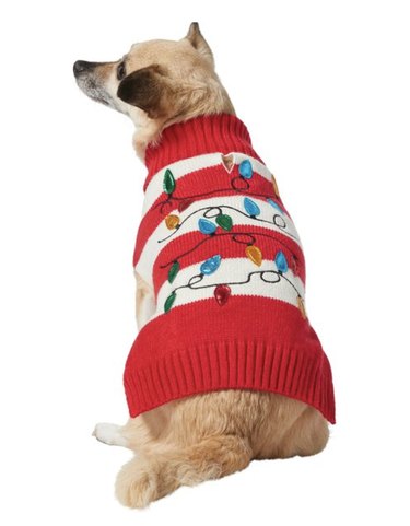 Red and white striped dog Christmas sweater with a Christmas lights design on it.