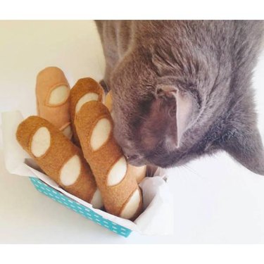 A grey cat inspecting a basket of Baguette Catnip Cat Toys