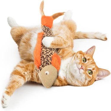 Orange cat playing with orange, tan, and leopard print kicker toy fish with feathers on the tail.
