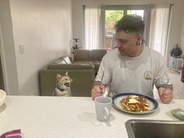 cat wants man's breakfast.