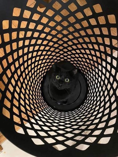black cat at bottom of black laundry basket.