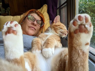 orange cat sleeping on woman's lap.