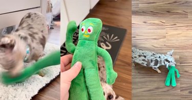 Gumby plush-filled dog toy TikTok.