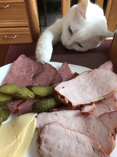 White cat paws at charcuterie board.
