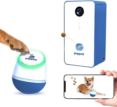 treat dispensing camera and toy for dogs