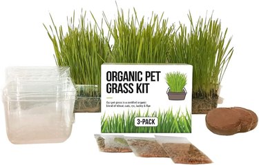Organic pet grass kit with three grow trays, three soil disks, and three locally-sourced seed packets.