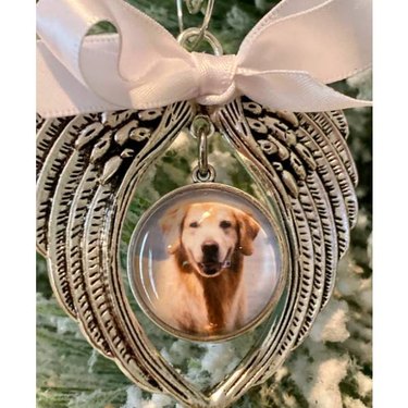 A yellow lab in an angel wings frame with a white bow on it