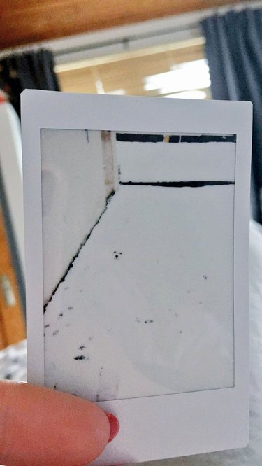 Polaroid photo of white dog barely visible against snowy ground.