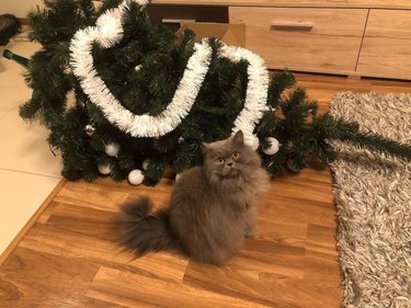 cat next to knocked over christmas tree