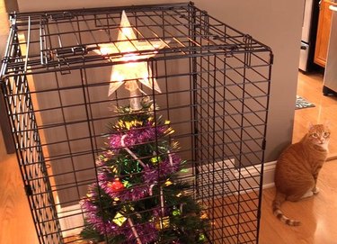 cat sitting outside of christmas tree protected by a cage