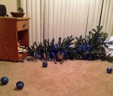 cat laying inside knocked over christmas tree