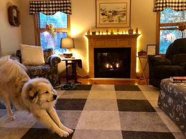 Dog stretching in front of fireplace