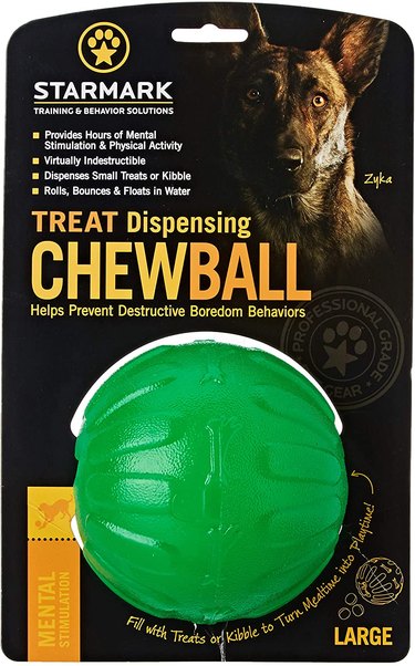 dog ball for tough chewer