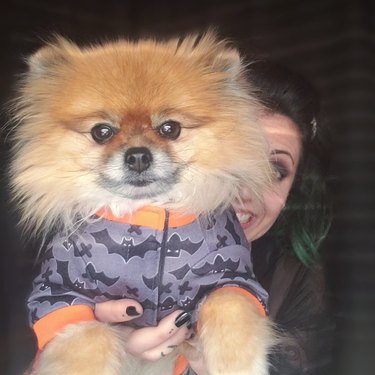 dog in bat pajamas