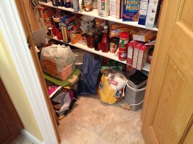 cat hides in a bag of paper towels inside a kitchen pantry