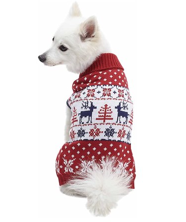 Dog wearing red sweater with an off-white scene of reindeer, snowflakes, and Christmas trees on it.