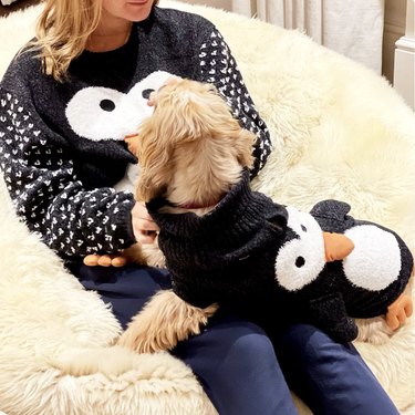 Woman and dog wearing matching penguin sweaters with 3D features.